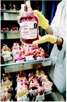 Individual units of blood being stored in a blood bank. (Custom Medical Stock Photo. Reproduced by permission.)