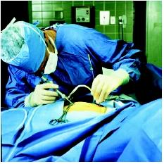 This surgeon is performing a laparoscopic procedure on a patient. (Photo Researchers, Inc. Reproduced by permission.)