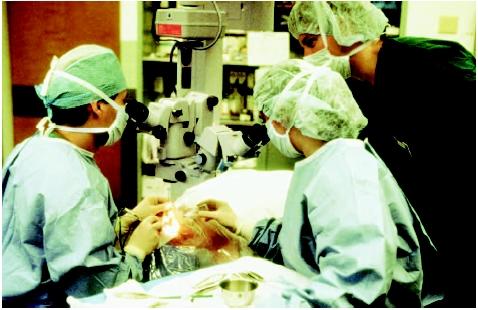 Ophthalmologists treating a patient for cataracts using phacoemulsification. (Custom Medical Stock Photo. Reproduced by permission.)